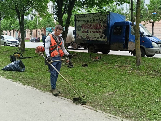 В Иванове за неделю выкашивают до 500 тысяч квадратных метров травы